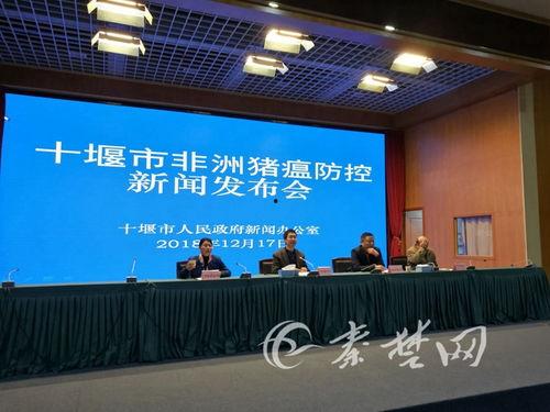 猪瘟最新爆料新闻发布会,新闻发布会揭露关键信息
