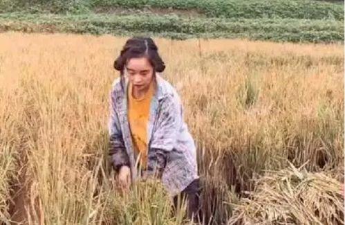 大叔黄琴最新爆料