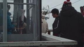 暴雪最新爆料视频下载,游戏新篇章即将开启